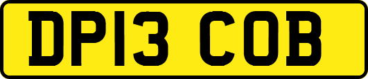 DP13COB