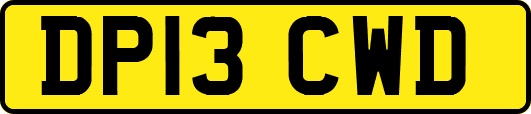 DP13CWD