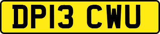 DP13CWU
