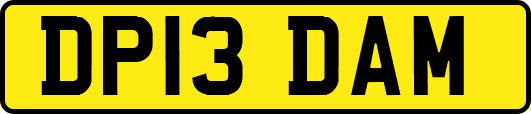 DP13DAM