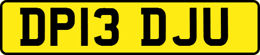 DP13DJU