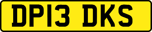 DP13DKS