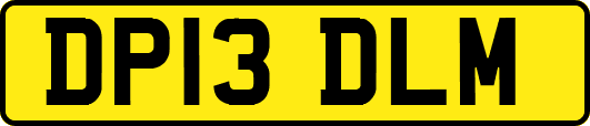 DP13DLM