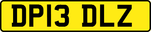 DP13DLZ