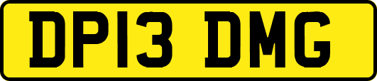 DP13DMG
