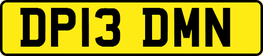 DP13DMN