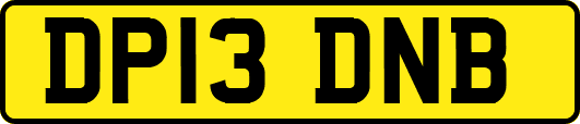 DP13DNB