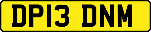 DP13DNM