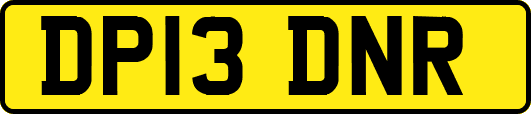 DP13DNR