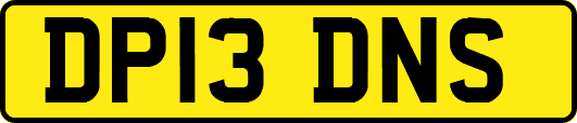 DP13DNS
