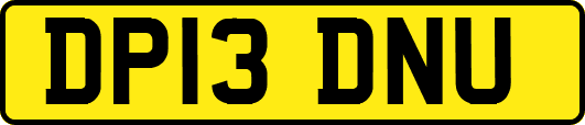 DP13DNU