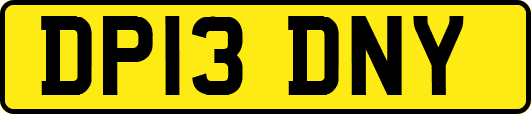 DP13DNY