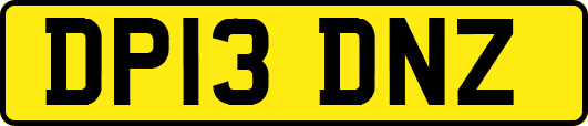 DP13DNZ