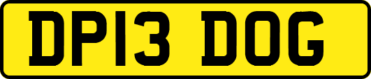 DP13DOG