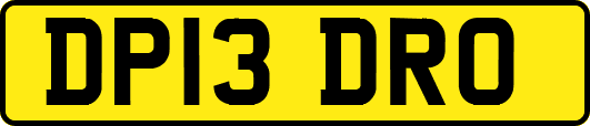 DP13DRO