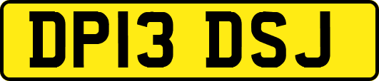 DP13DSJ