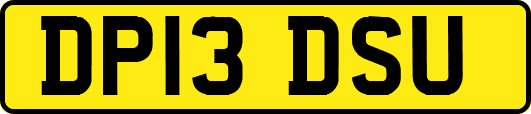 DP13DSU