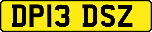 DP13DSZ