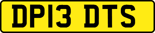 DP13DTS