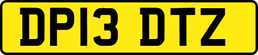 DP13DTZ