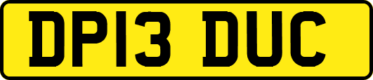 DP13DUC