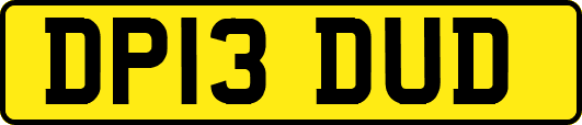DP13DUD