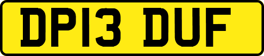 DP13DUF