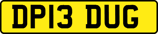 DP13DUG