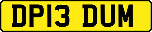 DP13DUM