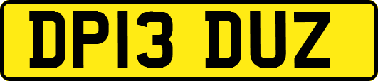 DP13DUZ