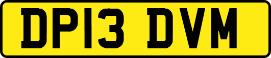 DP13DVM