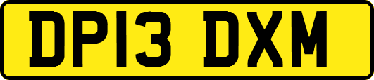 DP13DXM
