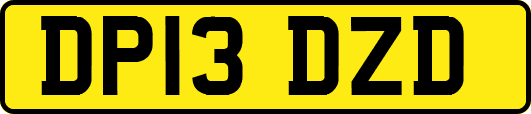 DP13DZD