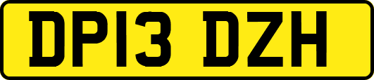 DP13DZH