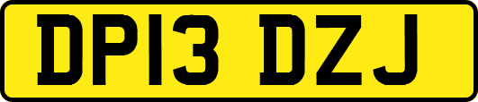 DP13DZJ