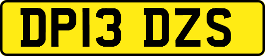 DP13DZS