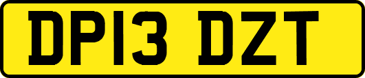 DP13DZT