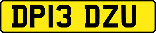 DP13DZU