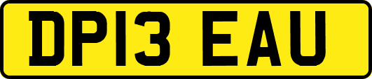 DP13EAU