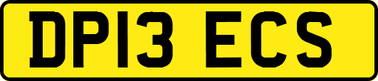 DP13ECS