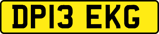 DP13EKG