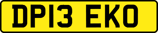 DP13EKO