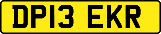 DP13EKR
