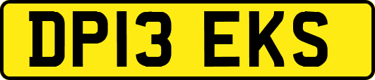 DP13EKS