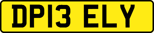 DP13ELY