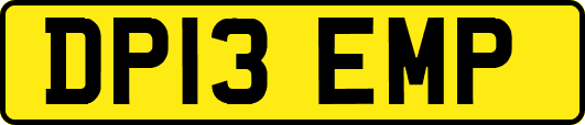 DP13EMP