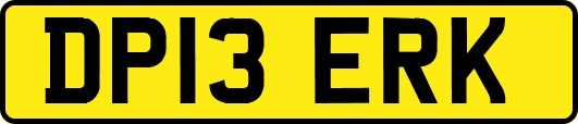 DP13ERK