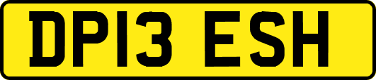 DP13ESH