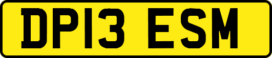DP13ESM