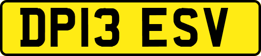DP13ESV